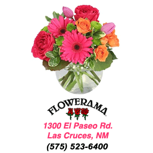 Best Florist in Las Cruces, New Mexico