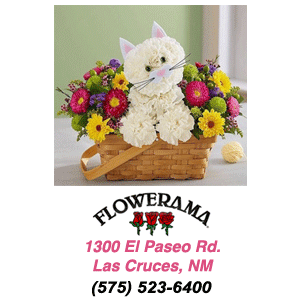 Best Florist in Las Cruces, New Mexico