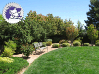 Sprinkler systems installed - Hedgehogs Landscaping in Las Cruces, NM