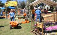 Mesilla Valley Maze in Las Cruces NM September 2026