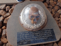 Cradle of Human Kind in South Africa