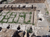 Visiting Djemila, Algeria