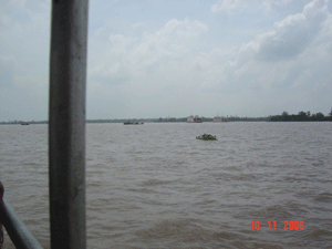Fishing in Mekong Delta, Vietnam