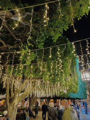 Plaza in San Miguel de Allende, Mexico