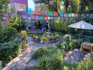 Garden in San Miguel de Allende, Mexico